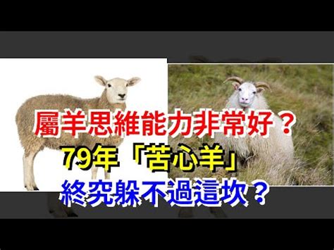 屬羊的五行|【羊五行屬什麼】羊五行是什麼？一次搞懂屬羊的五行。